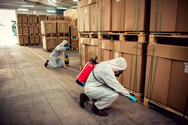 Best Wildlife Control Services  in Shadeland, IN