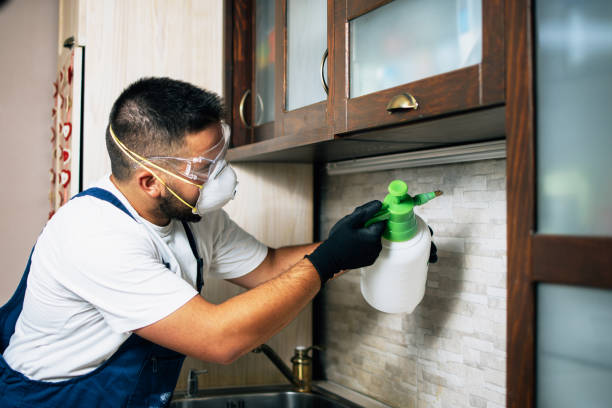 Best Commercial Pest Control Services  in Shadeland, IN