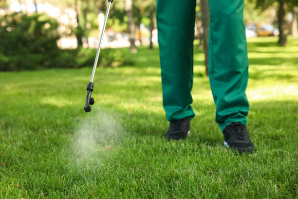 Best Cockroach Control Services  in Shadeland, IN