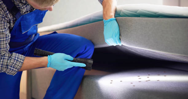 Best Pest Inspection Near Me  in Shadeland, IN