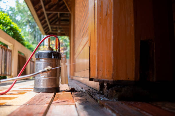 Best Pest Control for Restaurants  in Shadeland, IN